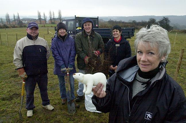 Pictured off Bridle Stile, Mosborough, where representatives from Westfield Health, Sheffield Countryside Conservation Trust, and Sheffield City Council gathered to plant 4,000 trees to counteract global warming and the melting of the ice caps, home to the polar bear. Seen is Naomi Harold, Westfield Corporate Development Officer, with a polar bear. In the background, left to right, David Spurr, Jean Fowler, Robert Ellis, and Sally Pereira, November 25, 2003