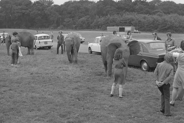 Lots of visitors to the park in August 1974.