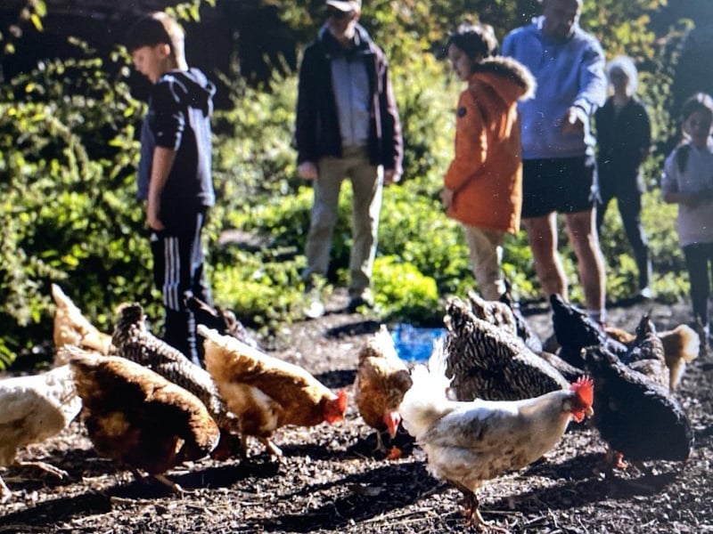 For a unique forest Halloween experience without jump scares, This Green Moon at Swillington Organic Farm offers an interactive ancient woodland trail. Families can help solve a mysterious archaeological excavation, dance at the forest disco, and enjoy wood-fired pizza and sweet treats around the campfire.