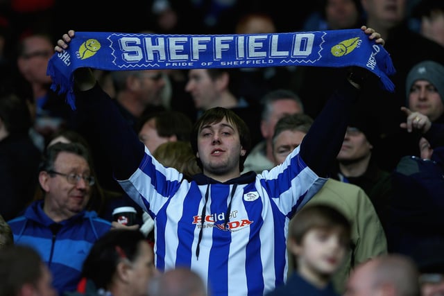 A Wednesday fan at the third round tie against MK Dons at Hillsborough in January 2013.