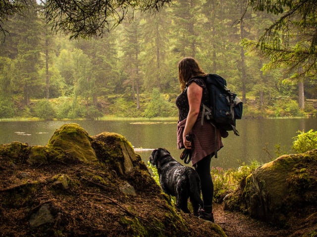 Dogs have been a great comfort to many over this tumultuous period. Alan Rickman took this picture of an outing with a four-legged friend.
