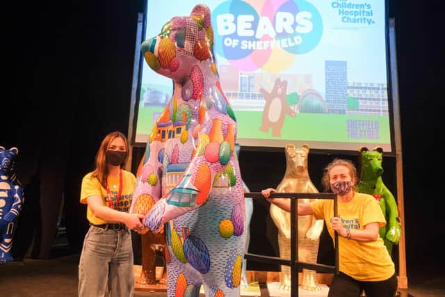 'City of Trees' Bear by Sue Guthrie was sponsored by The Star and was sold for £9000.