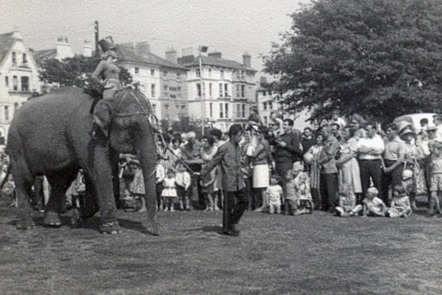The arrival of the elephants for Billy Smarts Circus on the Common in 1964.They had walked through the streets from the Town Station.