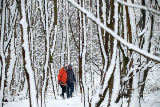 Beverley Fletcher and James Hall wander through woodland where the prevailing wind has coated tree trunks with fresh snownear Biggin in the Derbyshire peak District.
