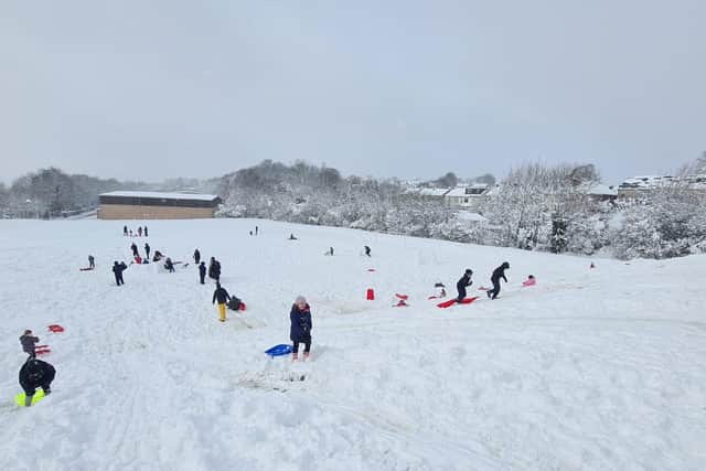 Sheffield residents sledging today. But when the show thaw? Photo: Kate Smith
