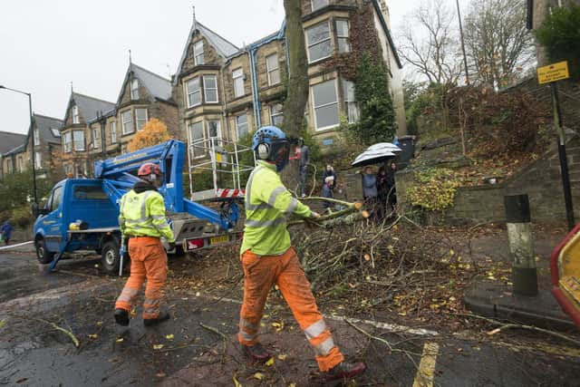 Members of the public look on as contractors cut down a tree in Rustlings Road, where three people protesting against a controversial tree felling programme have been arrested after council contractors started cutting down trees with chainsaws before dawn.