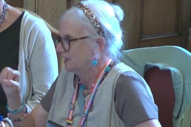 Doncaster Coun Glynis Smith told a meeting discussing a five-year NHS health strategy for South Yorkshire about her concerns for vulnerable people. Picture: Sheffield Council webcast