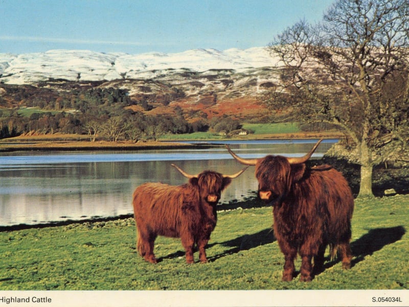 "I forgot to bring slippers, shaver, young persons rail card & the persons telephone number I was meant to stay with."