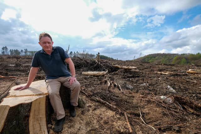 Dr Ian Rotherham at Rough Standhills Wood in Whirlow which has been devastated by forestry work