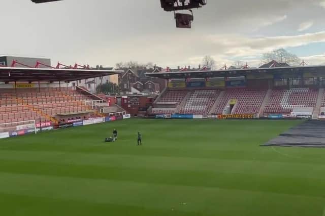 Exeter City's pitch is in good working order ahead of this afternoon's clash with Sheffield Wednesday. (Pic: @OfficialECFC / Twitter)