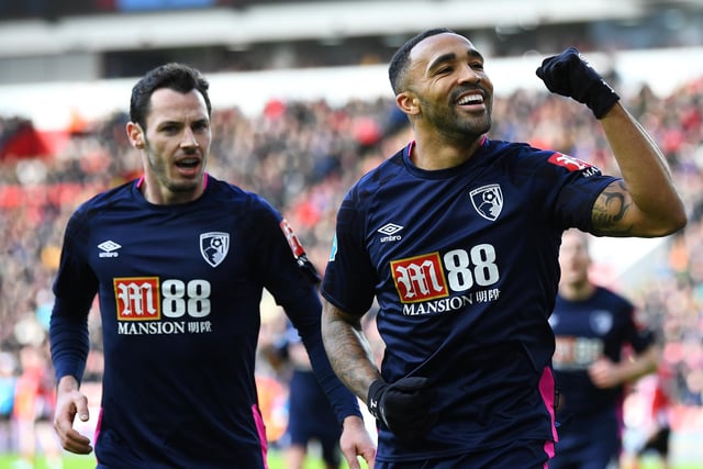 Number of players: 26. Average age: 25. Most valuable player: Callum Wilson (£18m).