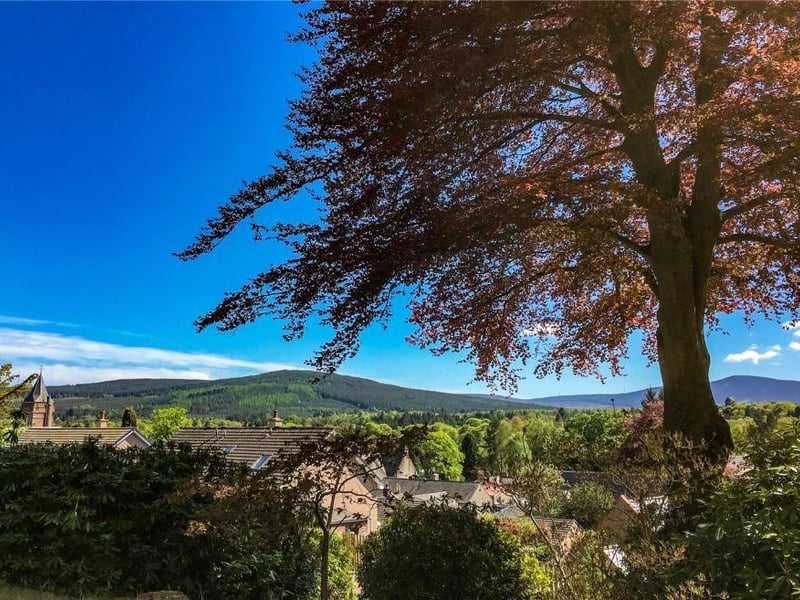 View from terrace.