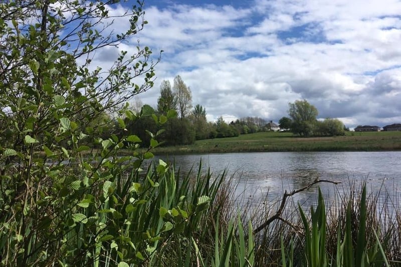 The local nature reserve at Robroyston Park is a wonderful place to walk and spot wildlife. Keep an eye out for grey herons at the ponds and deer in the woods. 