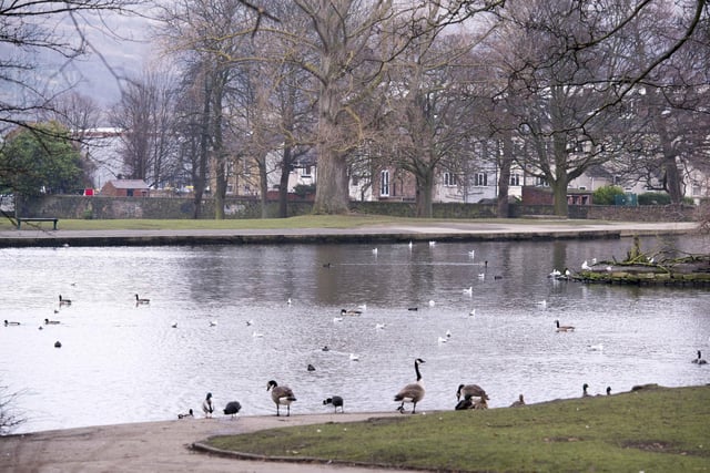 Hillsborough Park is a great place for all the family that also has a beautiful Walled Garden and plenty of places to enjoy a picnic. You can also see the ducks as you stroll or take the kids to the play area. Located at Parkside Rd, Sheffield S6 2AB.