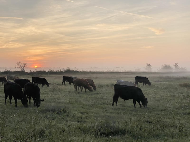Farlington Marshes has a rating of 4.5 based on 50 reviews. Picture: Jake Martin