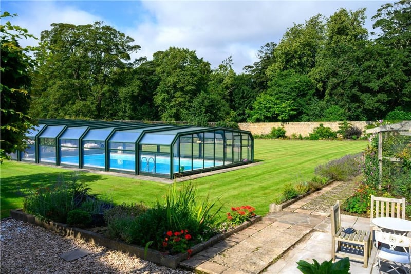Garden with swimming pool.