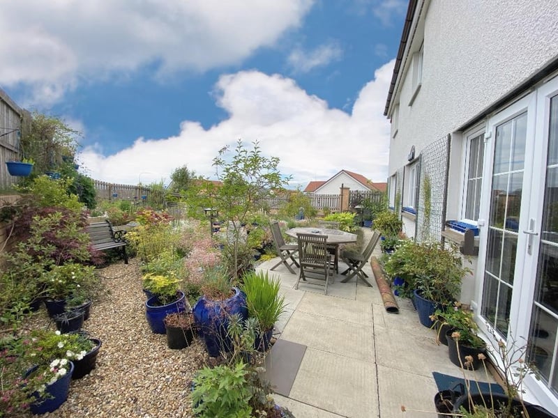 Rear garden.