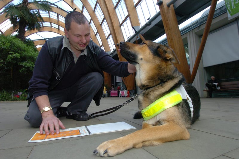 Alan Thorpe and his dog Zimba trying out a tactile map in the Winter Gardens that was developed by Sheffield Hallam University student Patricia Dieng