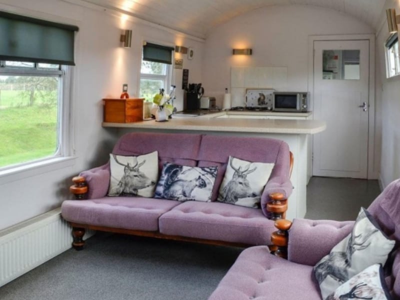 The large train windows let light in, while letting you enjoy the views.