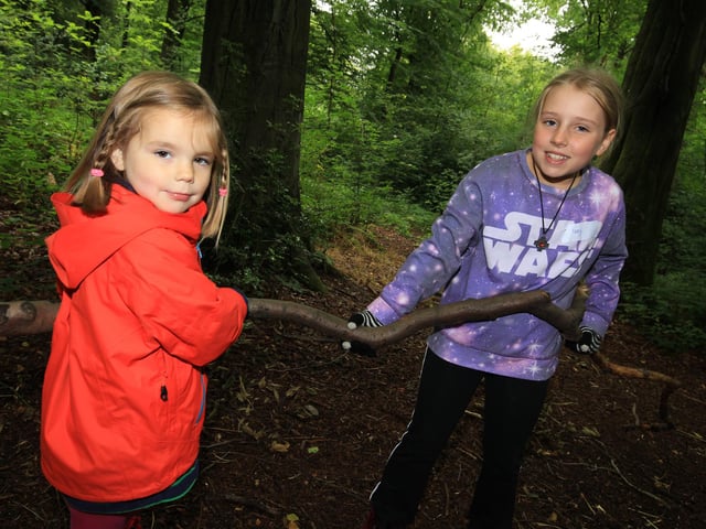 The Sheffield and Rotherham Wildlife Trusts are running 'wild play' sessions in Sheffield's Ecclesall Woods on October 27 from 10am to 2pm. Families can learn about bats, look for spiders and other gently spooky activities. (https://www.facebook.com/events/1832051076942190)