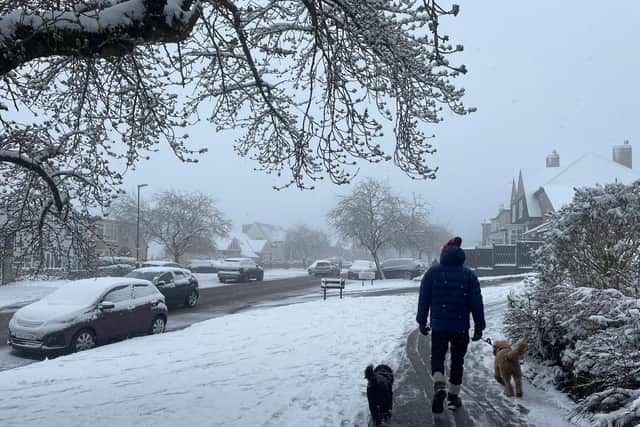 Dozens of schools have shut in Sheffield this week as a result of the heavy snowfall - here are all the ones we know as confirmed by the city council.