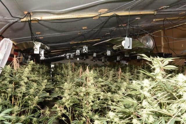 South Yorkshire Police are warning about the dangers of organised crime gangs setting up cannabis factories in Sheffield streets