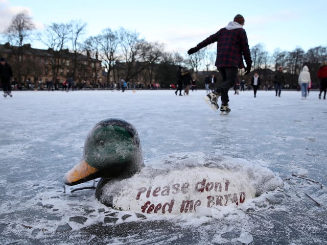 A wooden duck with a message advising people not to feed ducks bread in a frozen pond in Queen's Park in Glasgow. Picture: Andrew Milligan/PA Wire