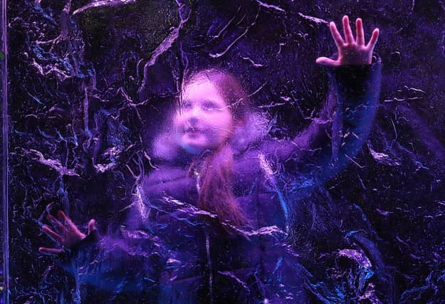 Nine-year-old Karis Milligan stands behind an installation at the launch of Edinburgh Zoo's Christmas Nights.