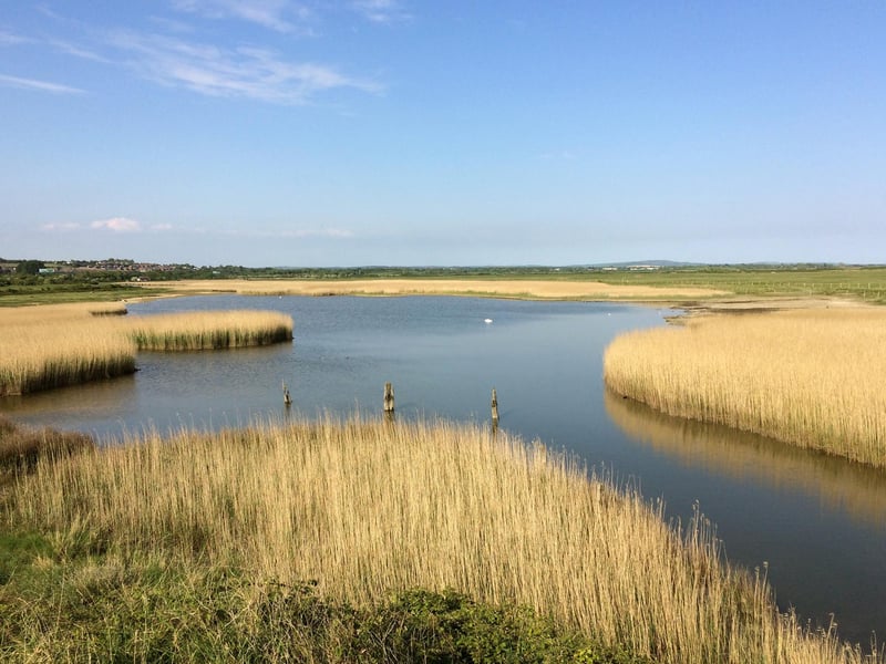 If the Lord of the Rings show is looking for any marshes to film in, then Farlington Marshes has got to be high up on the list!