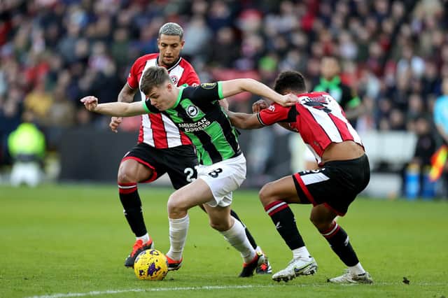 SHEFFIELD, ENGLAND - FEBRUARY 18: Evan Ferguson of Brighton & Hove Albion is challenged by Vinicius Souza and Auston Trusty of Sheffield United during the Premier League match between Sheffield United and Brighton & Hove Albion at Bramall Lane on February 18, 2024 in Sheffield, England. (Photo by David Rogers/Getty Images)
