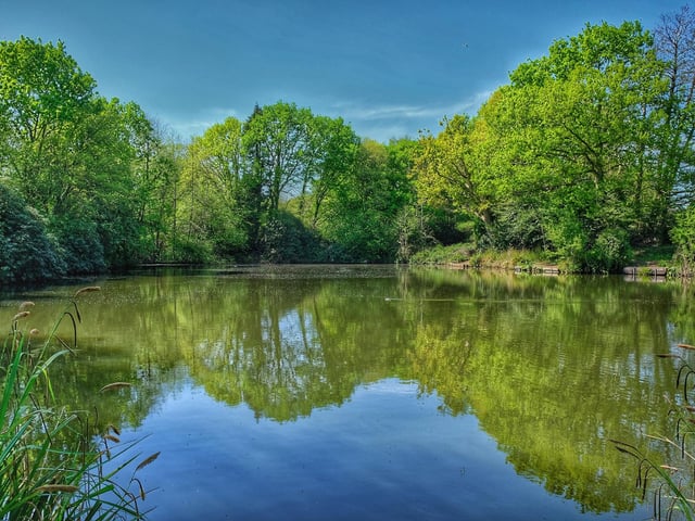 A picture of tranquillity at Carron Row Farm, Titchfield.
