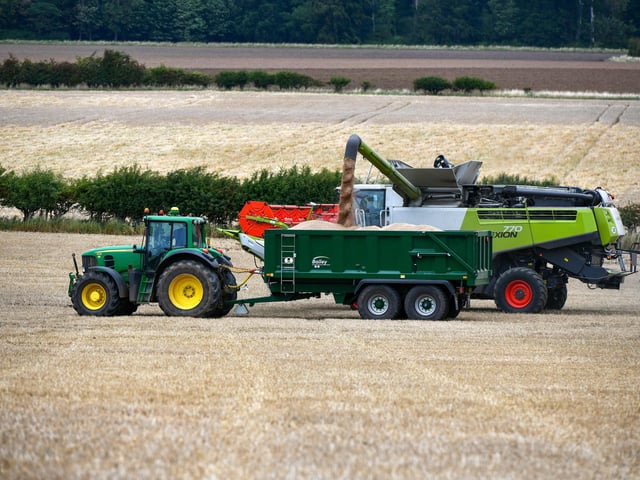 Wheat harvest at Wheatrig Farm, Longniddry.