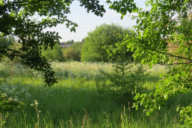 Owlthorpe Fields Action Group is trying to protect two more sites from development