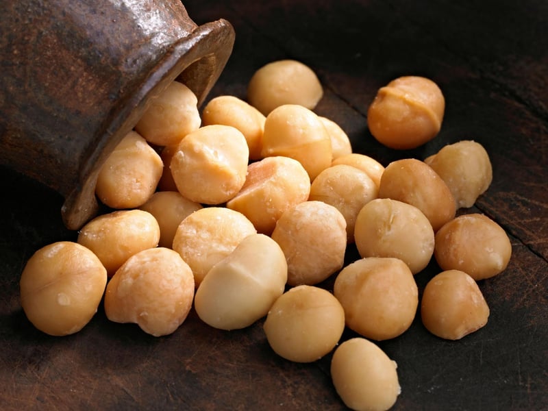 Macadamia nuts contain a toxin that can affect a dog’s muscles and nervous system. Within 12 hours of ingestion, macadamia nuts can cause dogs to experience weakness, depression, tremors, vomiting and increased body temperature.