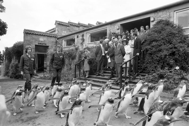Queen Elizabeth II and Prince Philip Duke of Edinburgh watch the penguin parade at Edinburgh Zoo in June 1988.