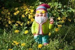 A modern-day garden gnome