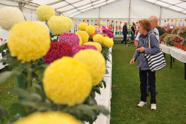 Hartlepool Horticultural Show at the Rift House Recreation Ground in 2019.
