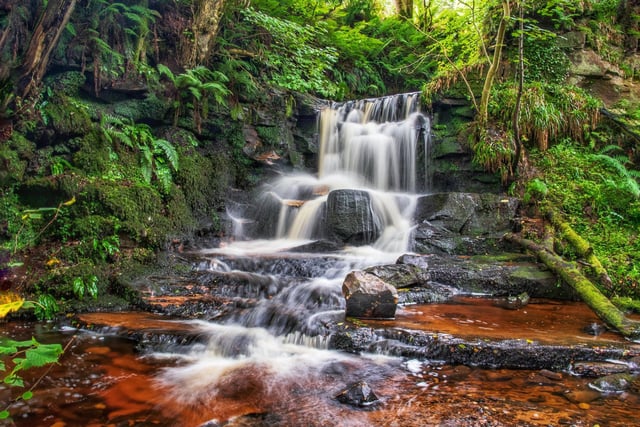 "I like to go for walks and lately have been staying local. I saw a walk online through Fairlie in North Ayrshire which led to the Southannan Waterfall. I was amazed at how ethereal this location was, hidden behind masses of trees. Beautiful find." Amanda K Smith, Kilmarnock