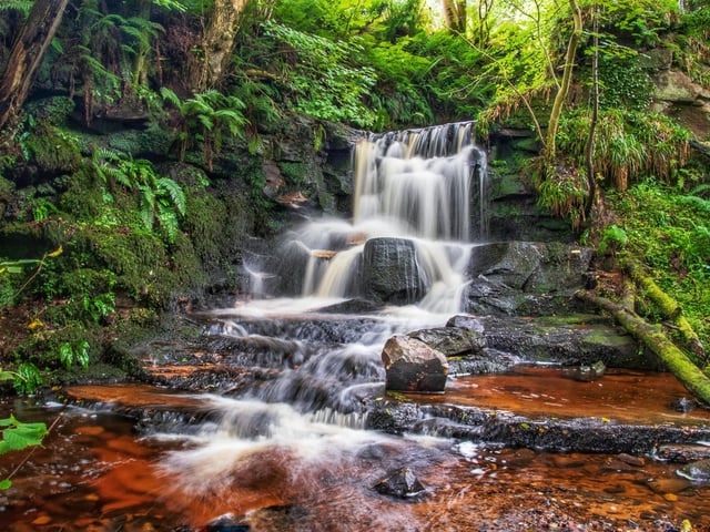 "I like to go for walks and lately have been staying local. I saw a walk online through Fairlie in North Ayrshire which led to the Southannan Waterfall. I was amazed at how ethereal this location was, hidden behind masses of trees. Beautiful find." Amanda K Smith, Kilmarnock