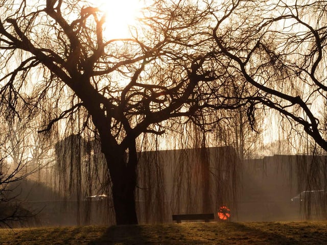 The population of Warsop Carrs increased by 14.64% from 2014 to 2019. The population in 2019 was 3,750.