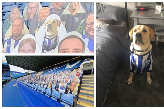A cardboard cut-out of Barney the dog will grace the stands for Sheffield Wednesday's clash against Notiingham Forest at Hillsborough on Saturday