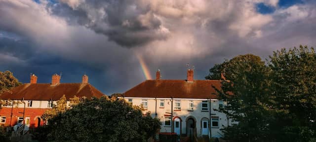 Shiregreen taken by @CazCutts1