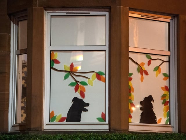 The streets of Battlefield, Glasgow, transformed into a magical outdoor gallery