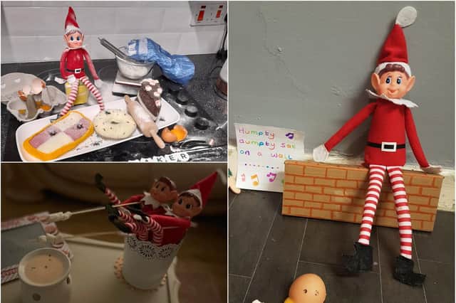 The public's naughty elves have been up to all sorts of mischief. Take a look.