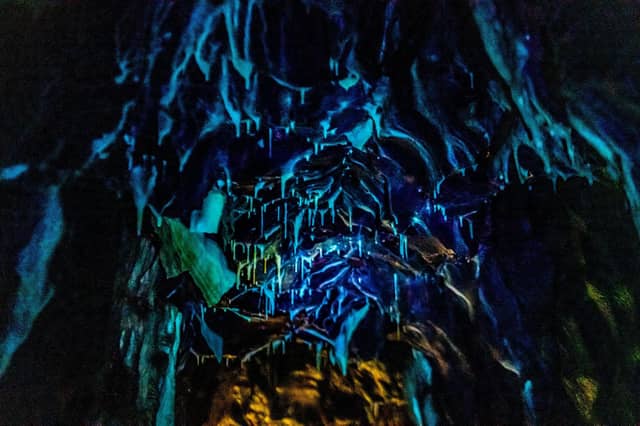 Explore Stump Cross Caverns this May Half Term! Enjoy The Crystal Experience Workshop, Fossil Dig Fun, Geode Cracking, Gem Panning, and a UV Guided Tour. Perfect for subterranean family fun!
📍 Stump Cross Caverns, Greenhow Hill, Pateley Bridge, Harrogate HG3 5JL