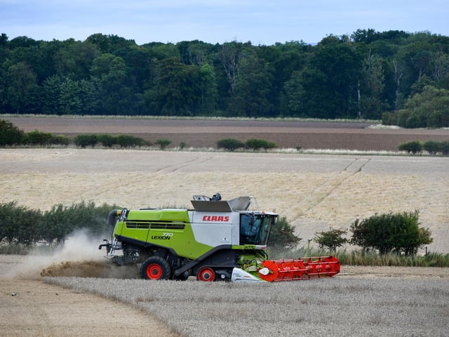 Wheat harvest at Wheatrig Farm, Longniddry.