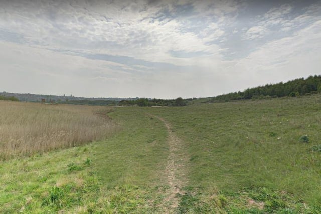 Take a trip out to Gedling Country Park where you will find a beautiful 7.4 kilometre loop trail located near Nottingham.