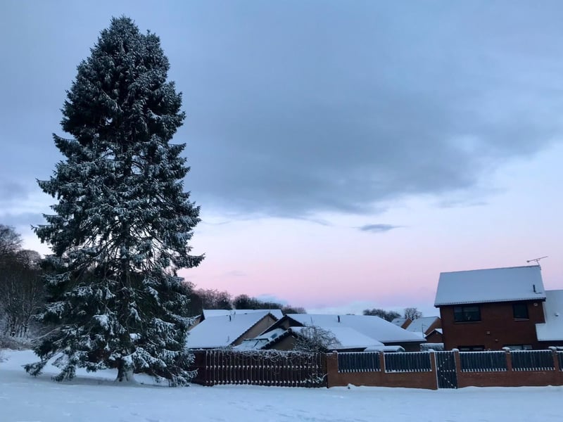 This gorgeous picture was taken this morning as the sun was rising in Bo'ness near Falkirk.