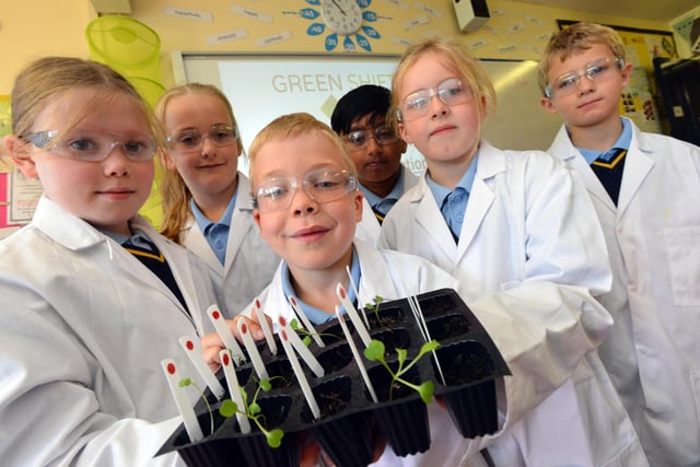 These St Aloysius Primary School students were pictured during a rocket seed experiment in 2016.