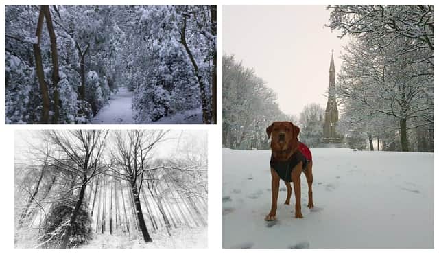 These are some of the best photos of the snow in Sheffield
